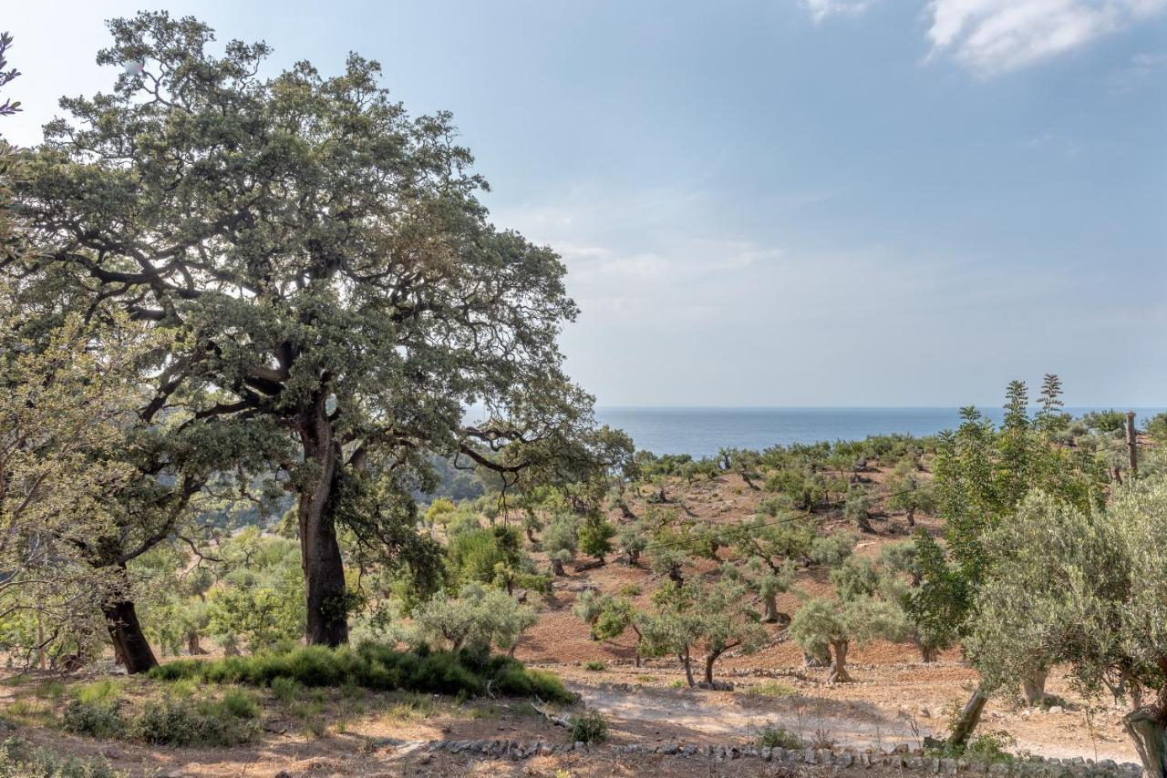 Deia Semi-Detached Sunny Country House, Near Gr221 Luaran gambar